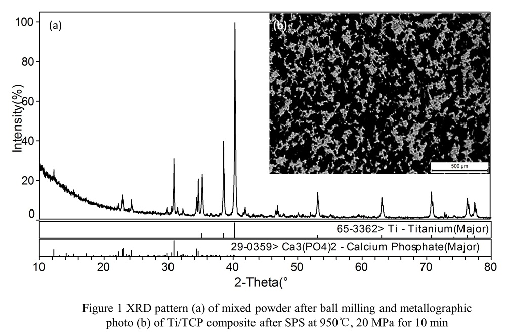 Frontiers | Preparation Of Titanium/tricalcium Phosphate Bone Implant ...