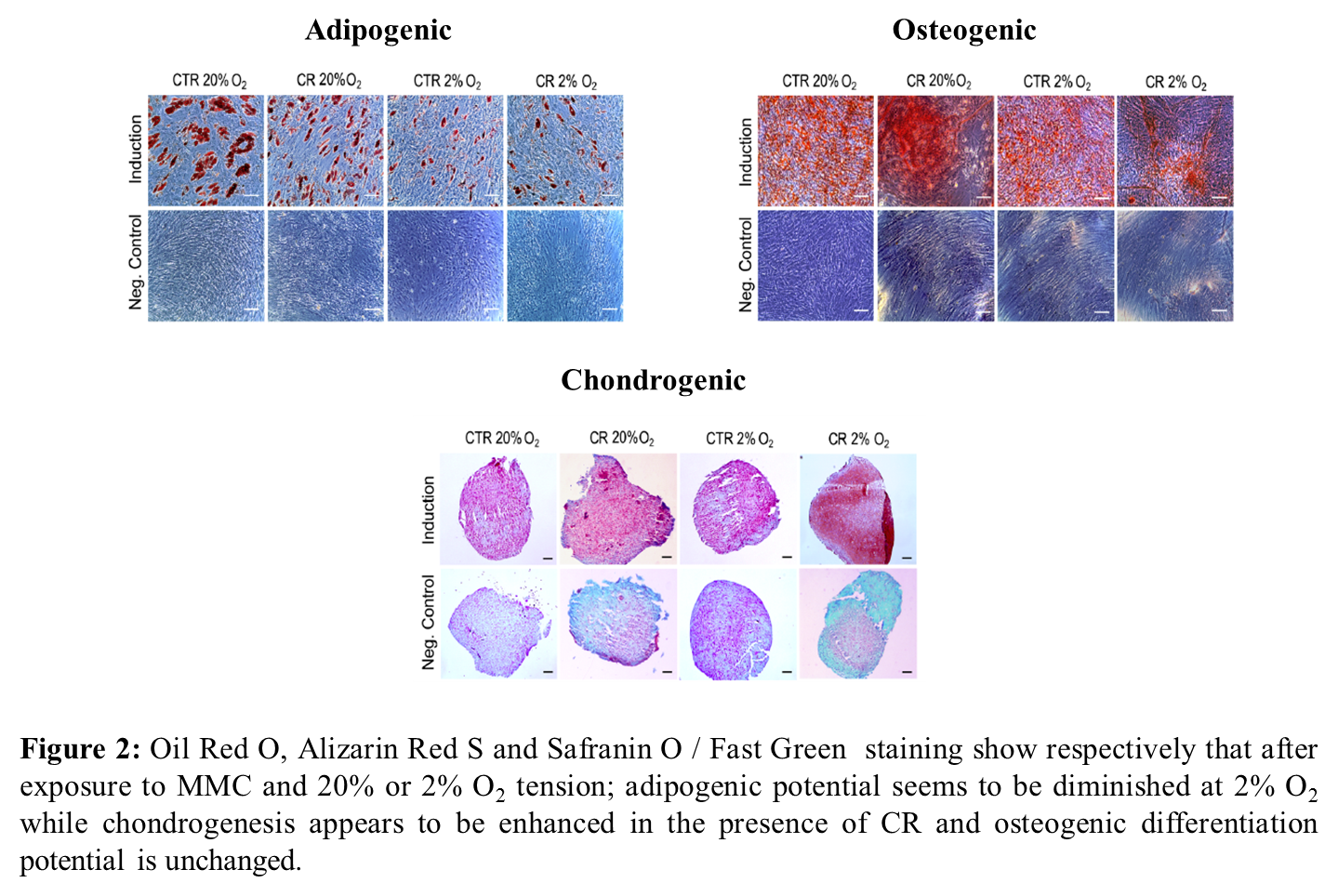 frontiers-a-multifactorial-approach-towards-mesenchymal-stem-cell