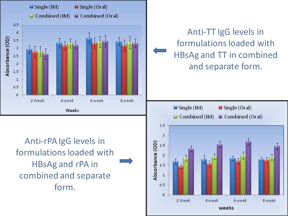 Frontiers | Combining Hepatitis B Surface Antigen (HBsAg) With Anthrax ...