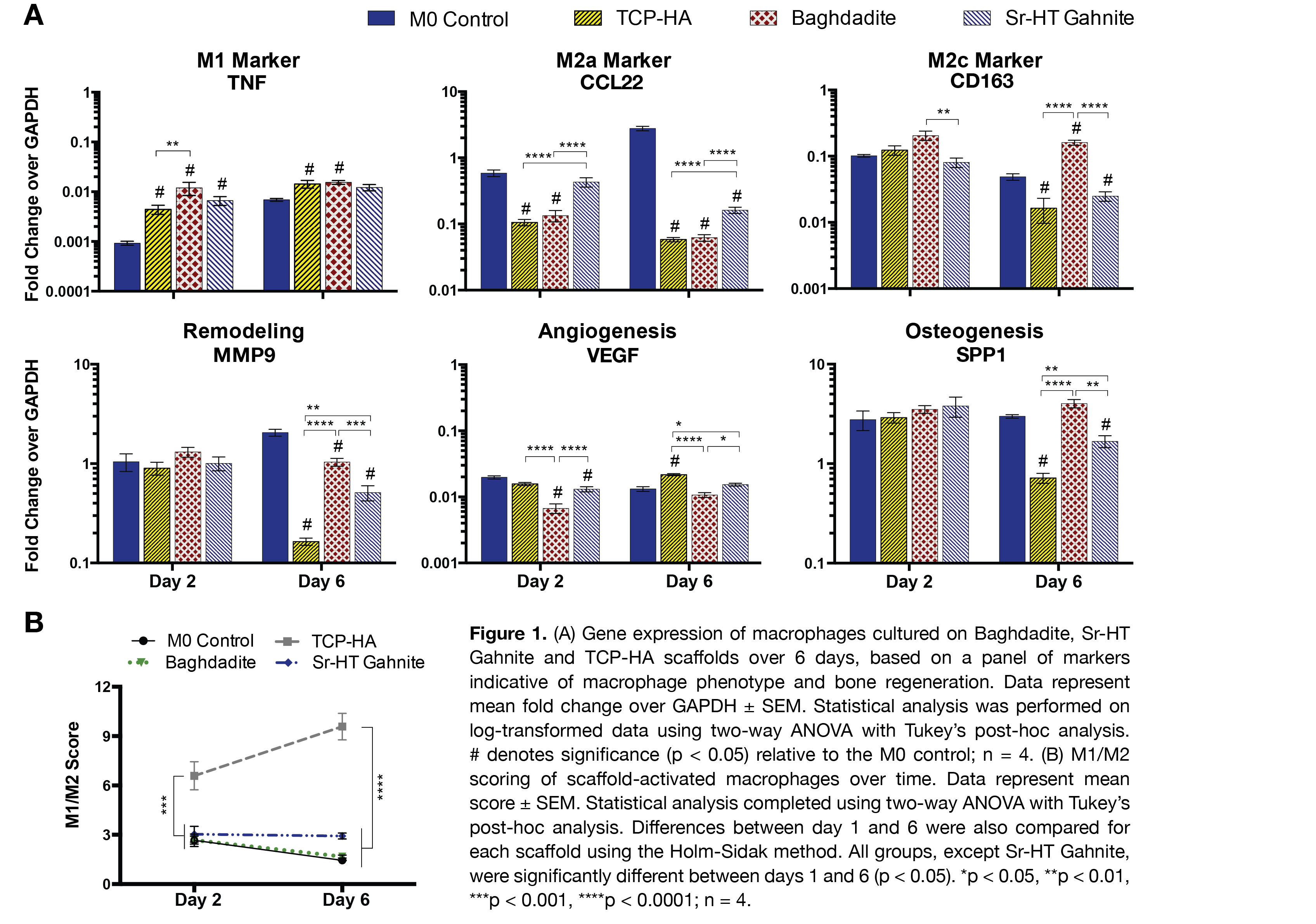 Frontiers | Biomaterial-mediated Modulation Of Macrophage Behavior To ...