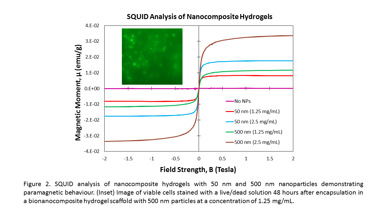 Frontiers | Injectable, Magnetoresponsive Hydrogels For In Situ ...