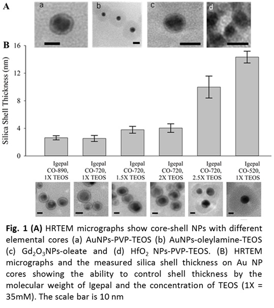 functionalized core shell nanoparticles